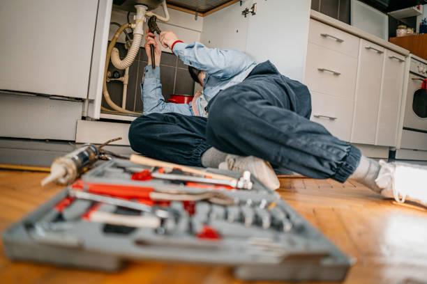 Boilers & Radiators