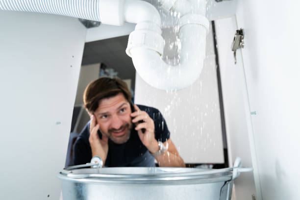 Best Plumbing Services Near Me  in Sheffield, IA